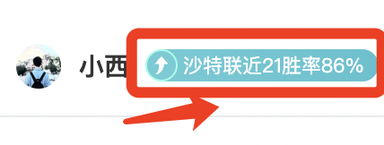 意甲保级战,再燃烽火,博洛尼亚连,OD体育官网,H5OD体育官网,OD体育官网在线娱乐平台
